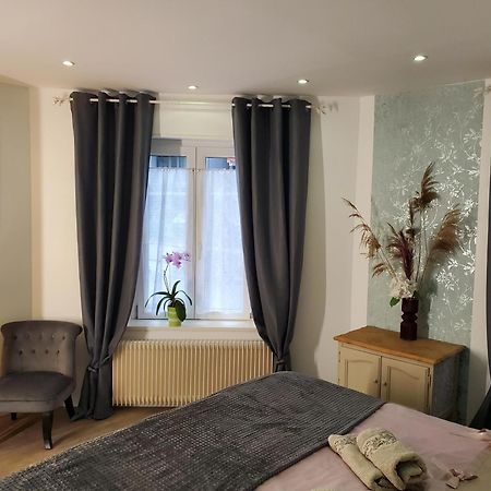 Mirka & Franck Apartment Chic 4 Stars Parking Free Colmar Exterior foto